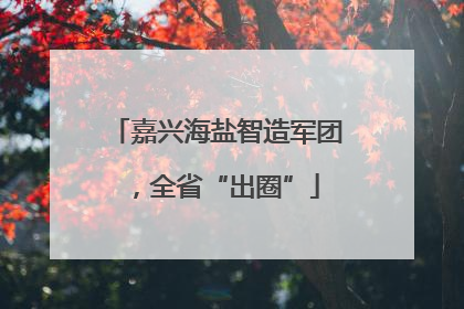 嘉兴海盐智造军团，全省“出圈”
