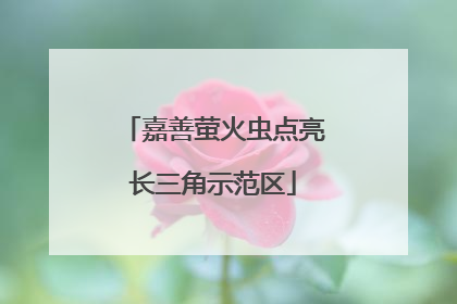 嘉善萤火虫点亮长三角示范区