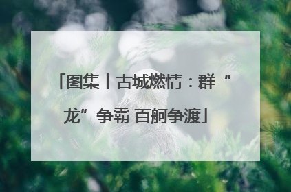 图集丨古城燃情：群“龙”争霸 百舸争渡