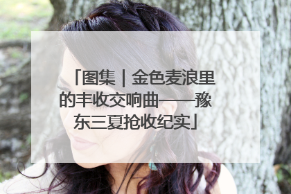 图集｜金色麦浪里的丰收交响曲——豫东三夏抢收纪实