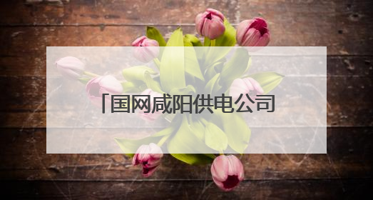 国网咸阳供电公司：永红村75千瓦光伏电站建成投运