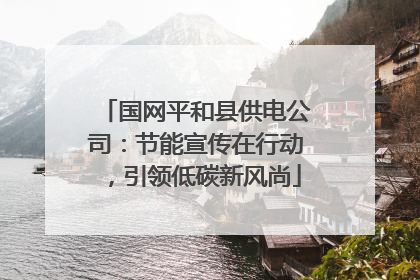 国网平和县供电公司：节能宣传在行动，引领低碳新风尚