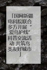 国网新疆电科院联合多方开展“爱鸟护线”科普交流活动 共筑鸟类友好城市