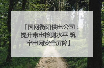 国网衡阳供电公司：提升带电检测水平 筑牢电网安全屏障