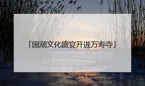 国潮文化盛宴开进万寿寺