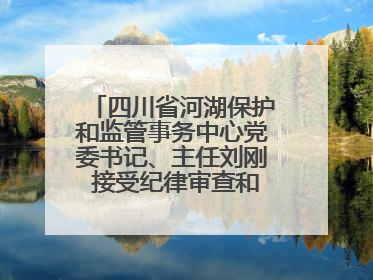四川省河湖保护和监管事务中心党委书记、主任刘刚 接受纪律审查和监察调查