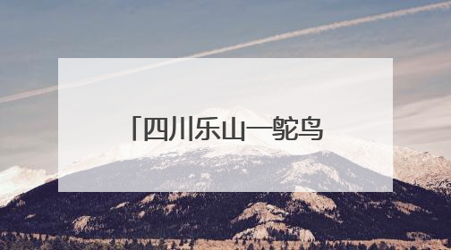 四川乐山一鸵鸟“越狱”马路狂奔，目击者：时速超40码，还对我“笑”了下