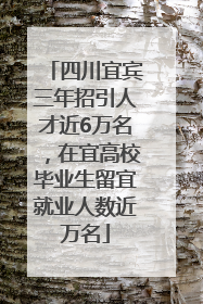 四川宜宾三年招引人才近6万名，在宜高校毕业生留宜就业人数近万名