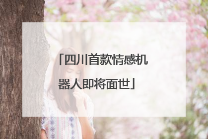 四川首款情感机器人即将面世