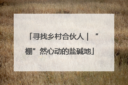 寻找乡村合伙人｜“棚”然心动的盐碱地
