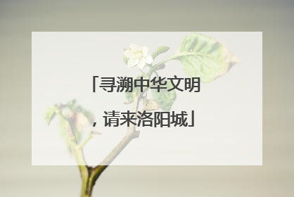 寻溯中华文明，请来洛阳城
