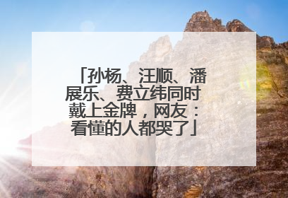 孙杨、汪顺、潘展乐、费立纬同时戴上金牌，网友：看懂的人都哭了