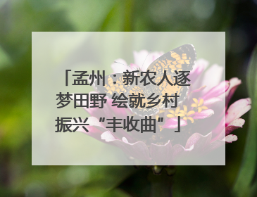 孟州：新农人逐梦田野 绘就乡村振兴“丰收曲”