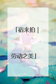 宿来拍｜劳动之美