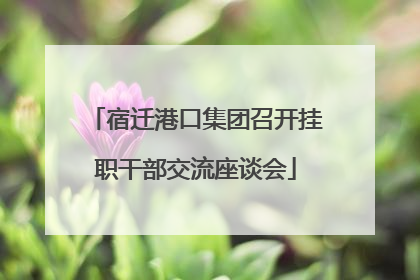 宿迁港口集团召开挂职干部交流座谈会