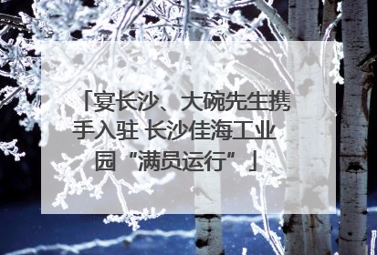 宴长沙、大碗先生携手入驻 长沙佳海工业园“满员运行”