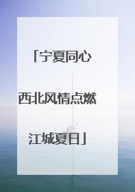 宁夏同心 西北风情点燃江城夏日
