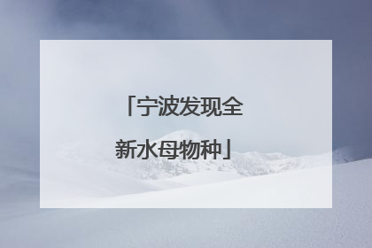 宁波发现全新水母物种