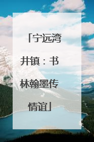 宁远湾井镇：书林翰墨传情谊