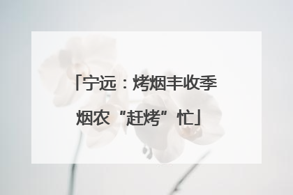 宁远：烤烟丰收季 烟农“赶烤”忙