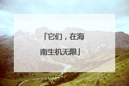 它们，在海南生机无限