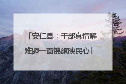 安仁县：干部真情解难题一面锦旗映民心