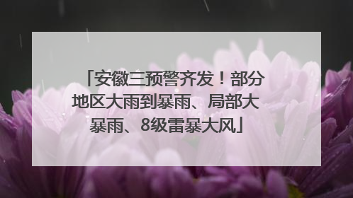 安徽三预警齐发！部分地区大雨到暴雨、局部大暴雨、8级雷暴大风