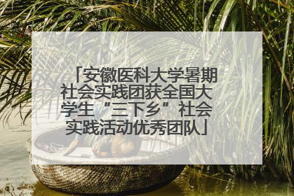 安徽医科大学暑期社会实践团获全国大学生“三下乡”社会实践活动优秀团队