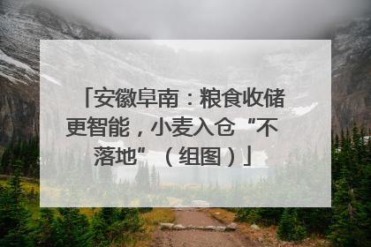 安徽阜南：粮食收储更智能，小麦入仓“不落地”（组图）