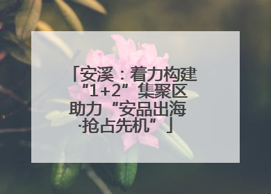 安溪：着力构建“1+2”集聚区 助力“安品出海·抢占先机”
