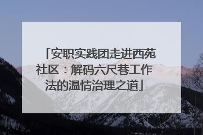 安职实践团走进西苑社区：解码六尺巷工作法的温情治理之道