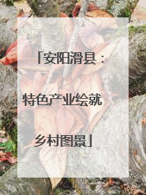 安阳滑县：特色产业绘就乡村图景