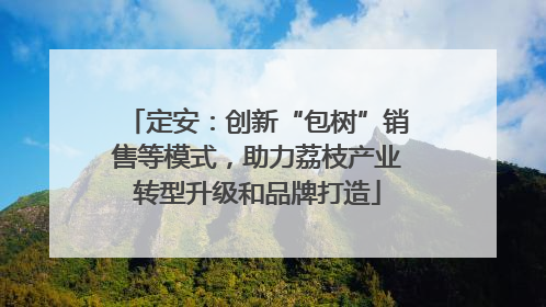 定安：创新“包树”销售等模式，助力荔枝产业转型升级和品牌打造