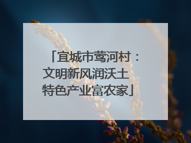 宜城市莺河村：文明新风润沃土 特色产业富农家