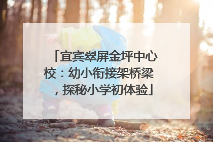 宜宾翠屏金坪中心校：幼小衔接架桥梁，探秘小学初体验