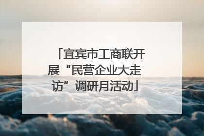 宜宾市工商联开展“民营企业大走访”调研月活动