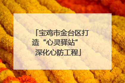 宝鸡市金台区打造“心灵驿站” 深化心防工程