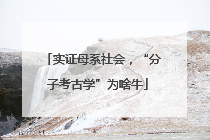 实证母系社会，“分子考古学”为啥牛