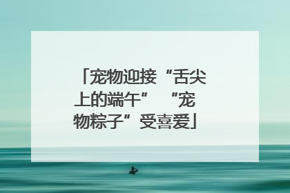 宠物迎接“舌尖上的端午” “宠物粽子”受喜爱