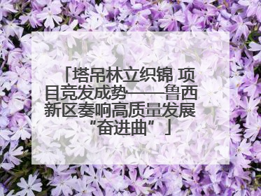 塔吊林立织锦 项目竞发成势——鲁西新区奏响高质量发展“奋进曲”