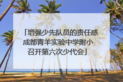 增强少先队员的责任感 成都青羊实验中学附小召开第六次少代会
