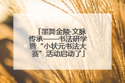 墨舞金陵·文脉传承——书法研学暨“小状元书法大赛”活动启动了