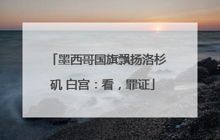 墨西哥国旗飘扬洛杉矶 白宫：看，罪证