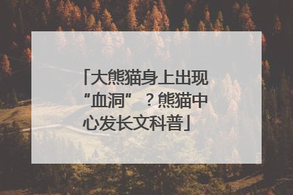 大熊猫身上出现“血洞”？熊猫中心发长文科普