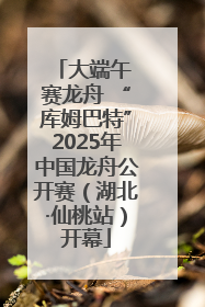 大端午 赛龙舟 “库姆巴特”2025年中国龙舟公开赛（湖北·仙桃站）开幕