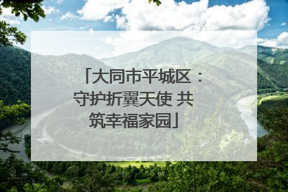 大同市平城区：守护折翼天使 共筑幸福家园