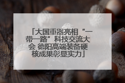 大国重器亮相“一带一路”科技交流大会 德阳高端装备硬核成果彰显实力