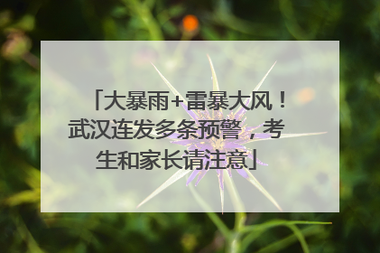 大暴雨+雷暴大风！武汉连发多条预警，考生和家长请注意