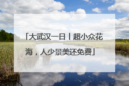 大武汉一日丨超小众花海，人少景美还免费