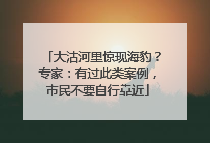 大沽河里惊现海豹？专家：有过此类案例，市民不要自行靠近